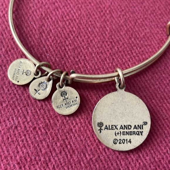 Alex and Ani E bracelet - Picture 3 of 3